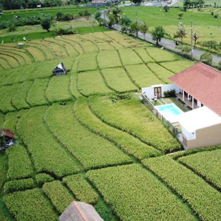 Pratama Guest House Canggu  Bagian luar foto